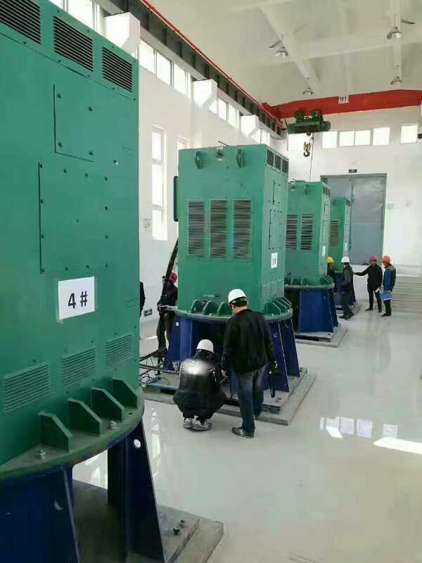 Y6301-12某污水处理厂使用我厂的立式高压电机安装现场